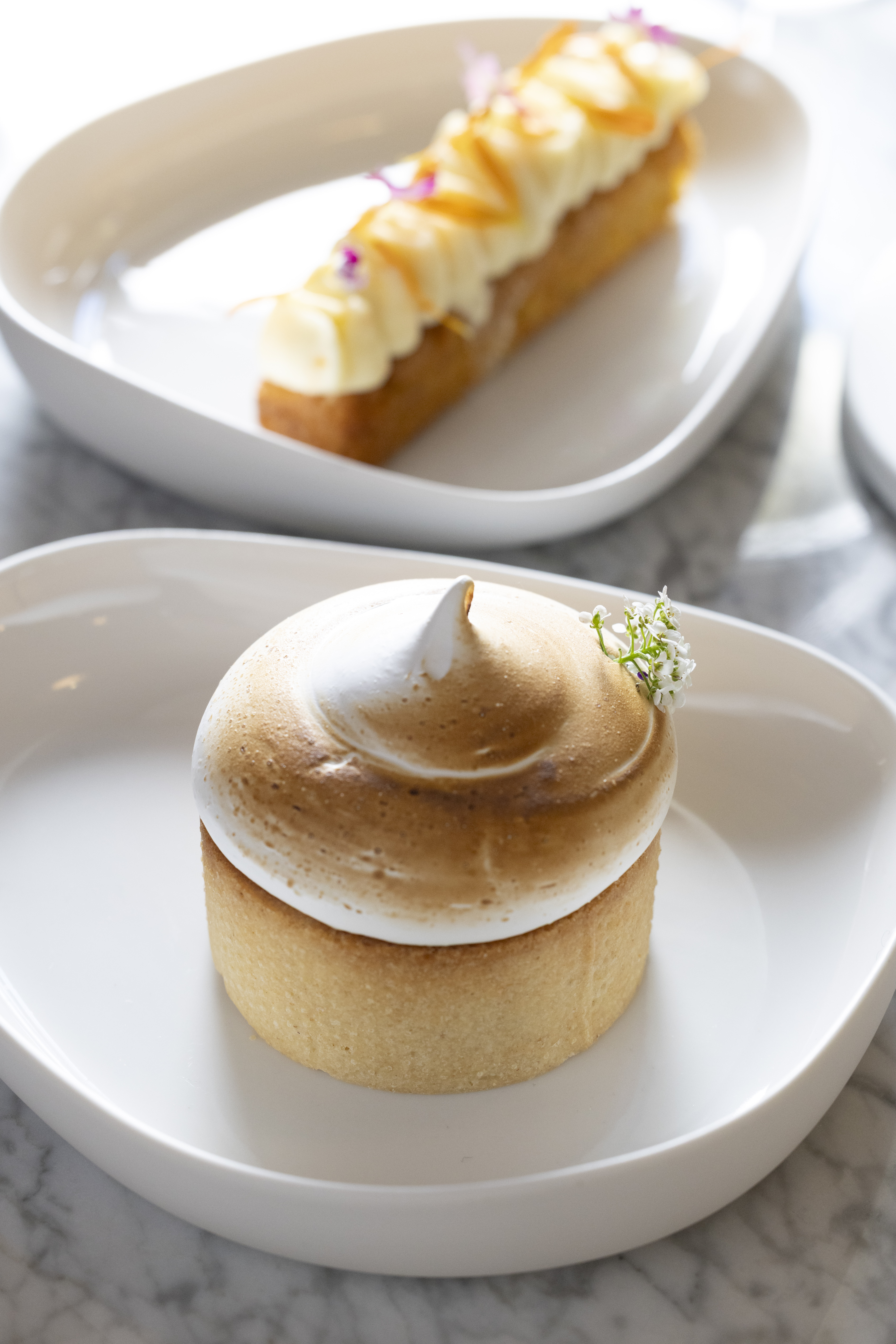 Tarta de merengue tostado y rollo de pastel sobre mármol